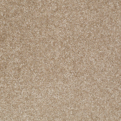 TEXTURE BCF