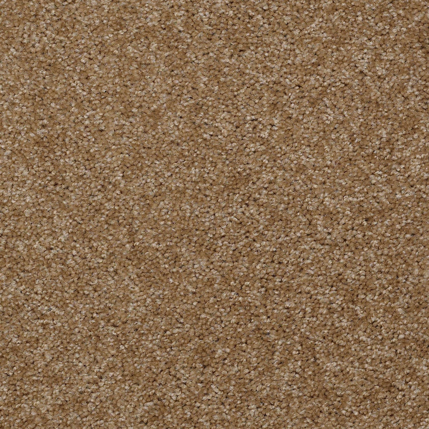 TEXTURE BCF
