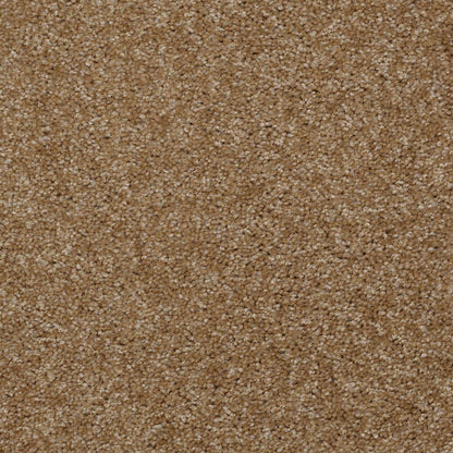 TEXTURE BCF