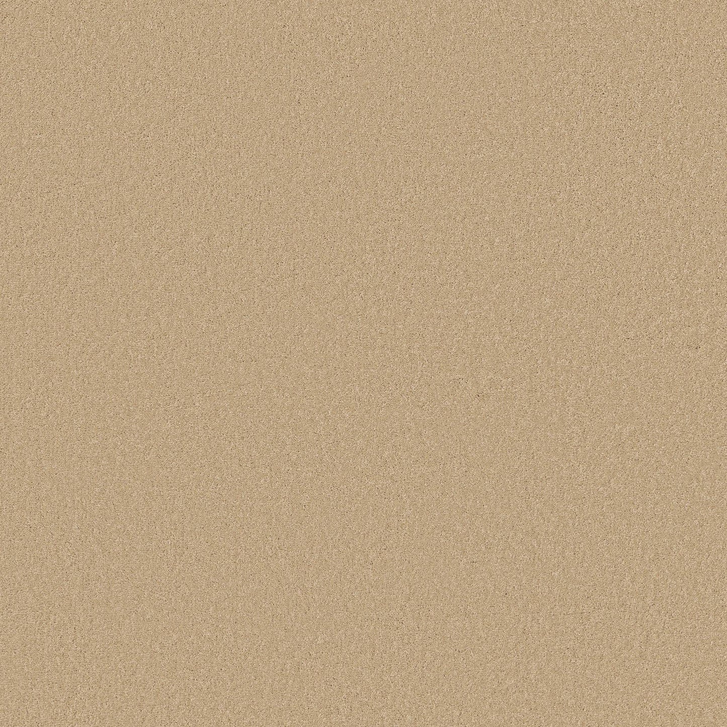 TEXTURE BCF