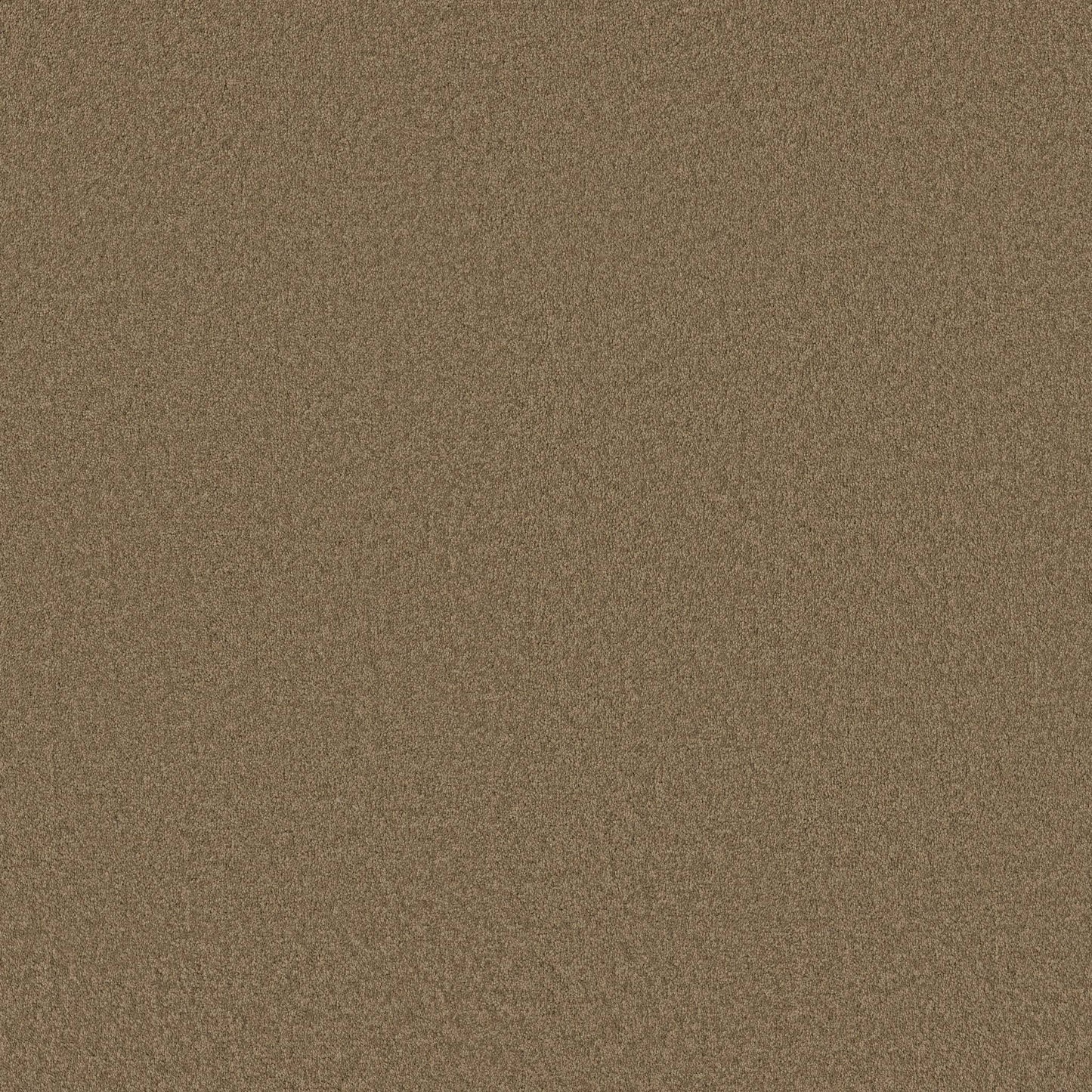 TEXTURE BCF