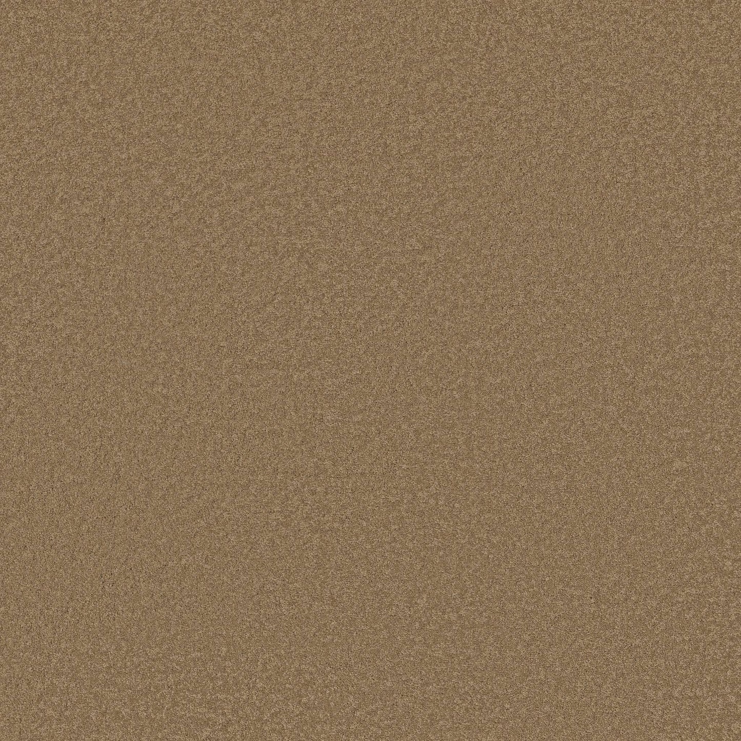 TEXTURE BCF
