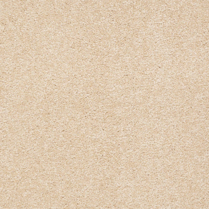 TEXTURE BCF
