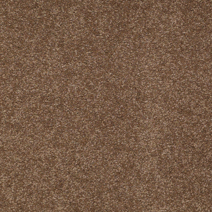 TEXTURE BCF