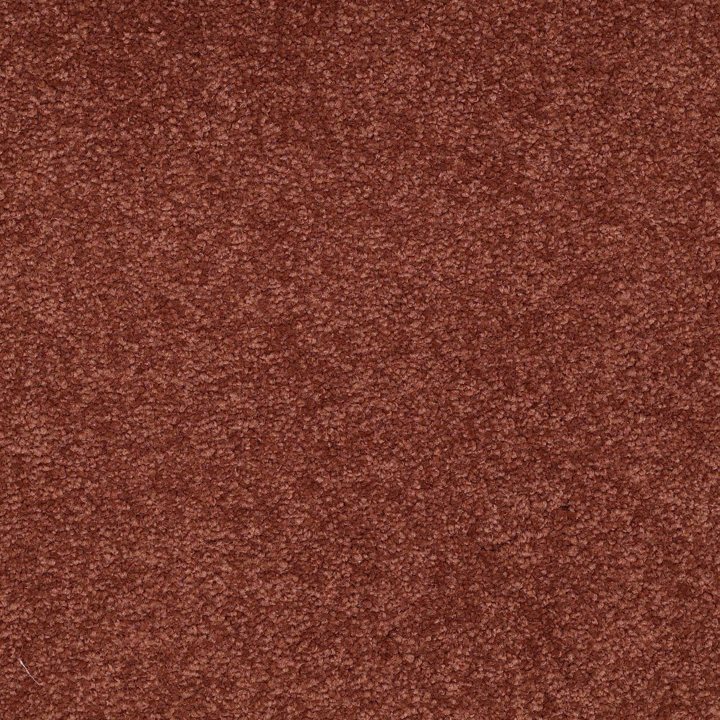 TEXTURE BCF