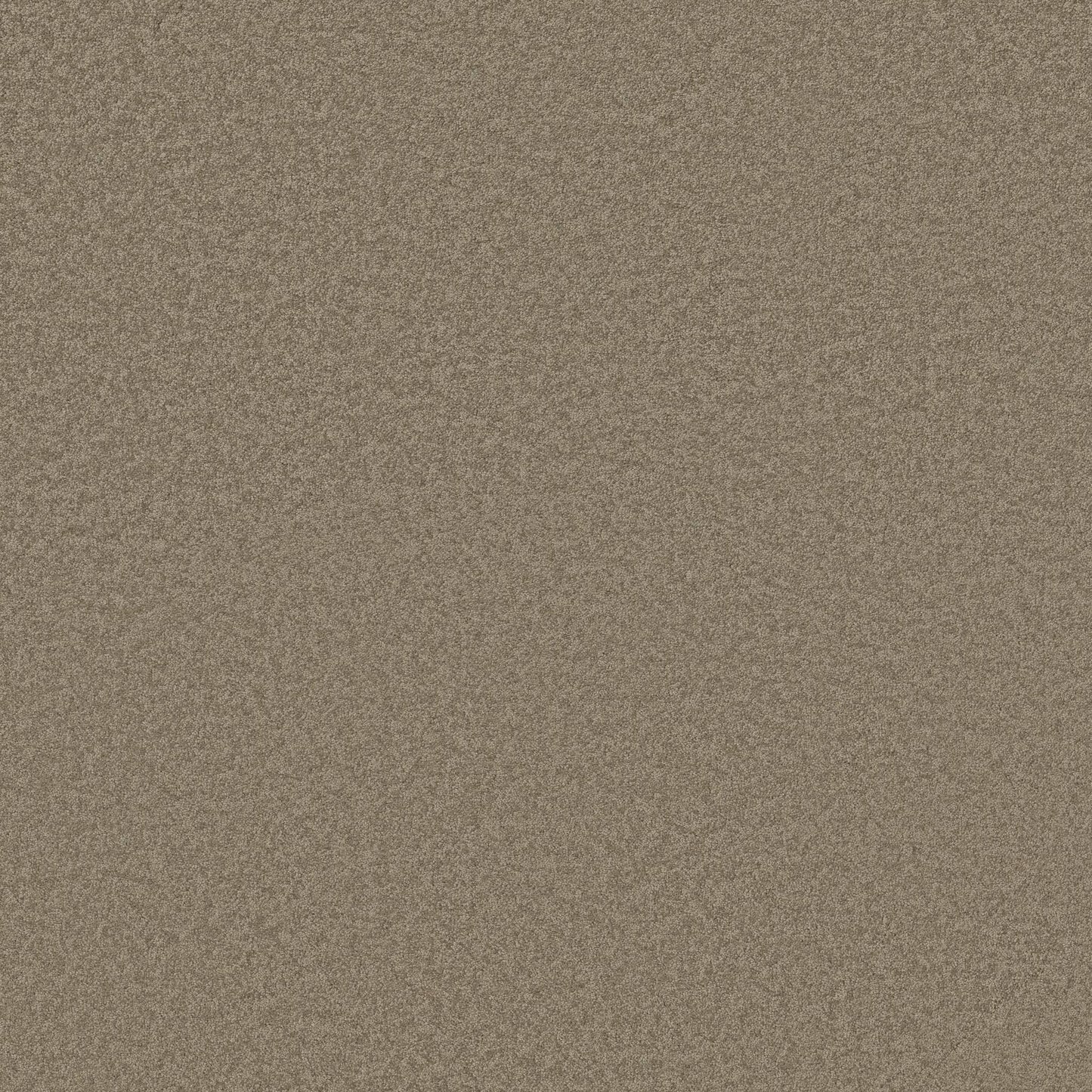 TEXTURE BCF