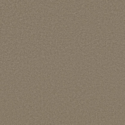 TEXTURE BCF