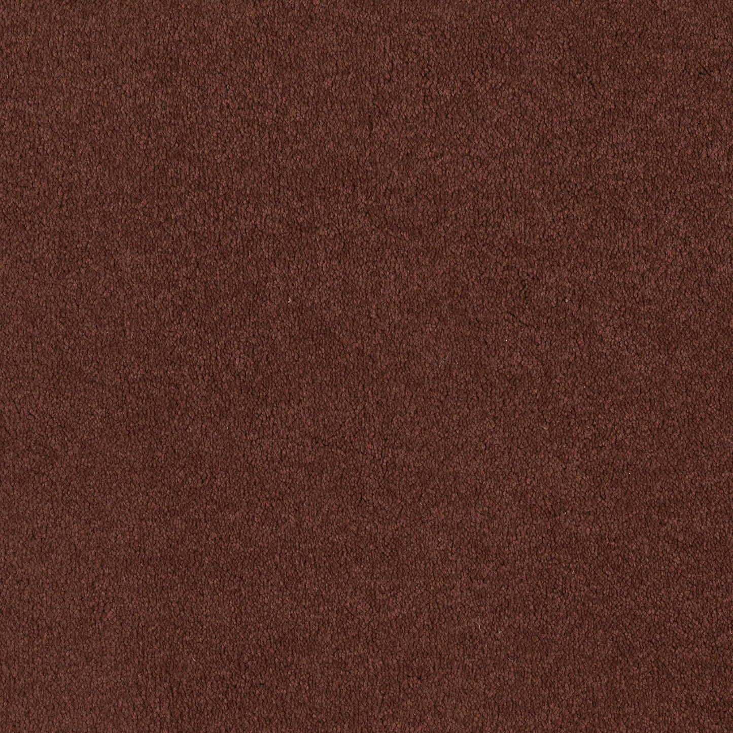 TEXTURE BCF