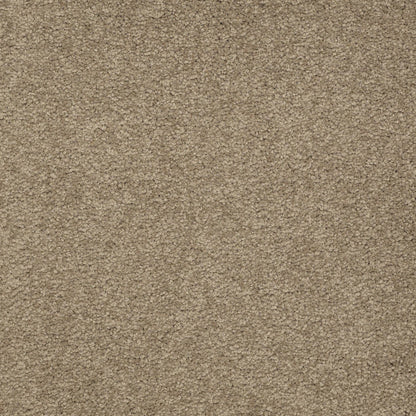 TEXTURE BCF