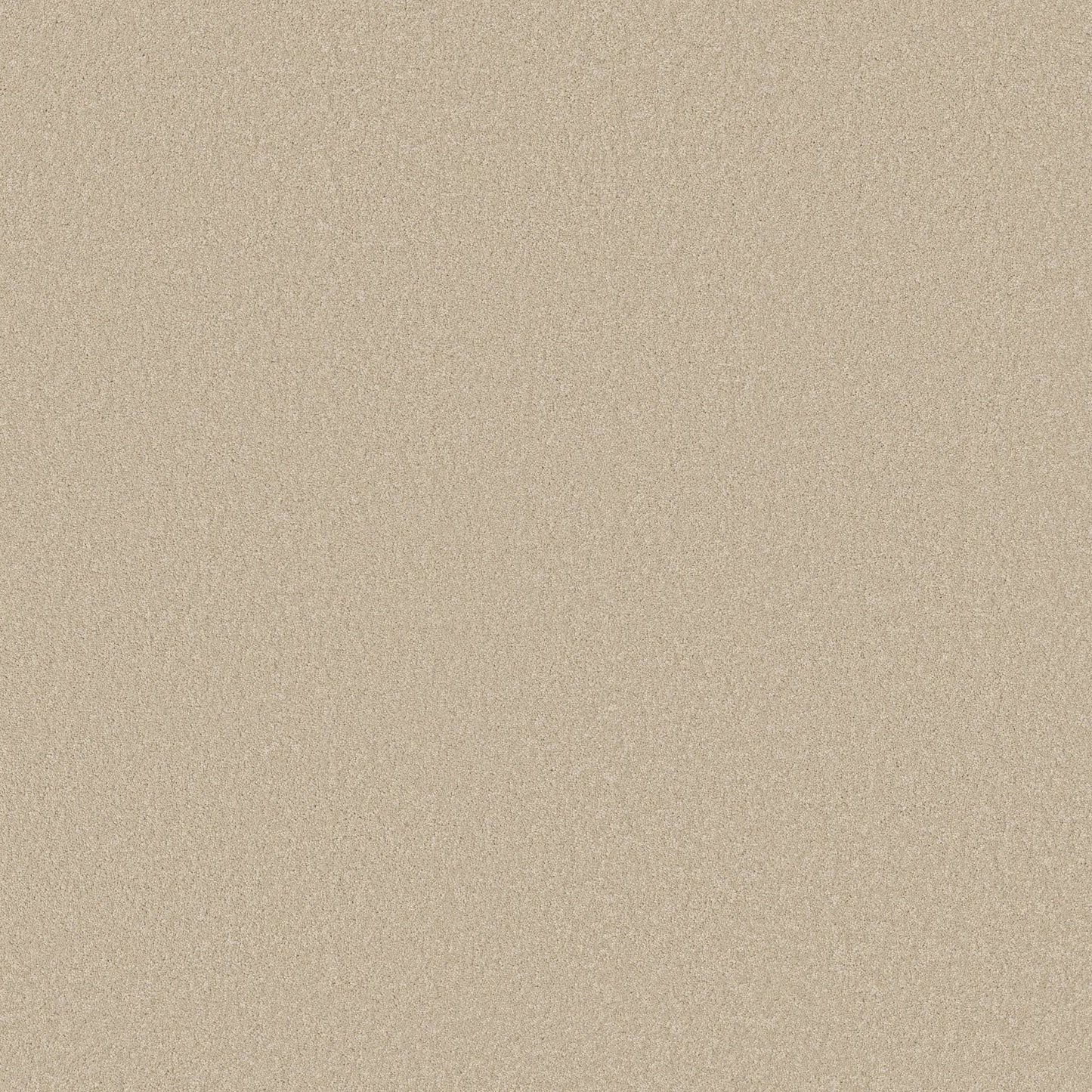 TEXTURE BCF