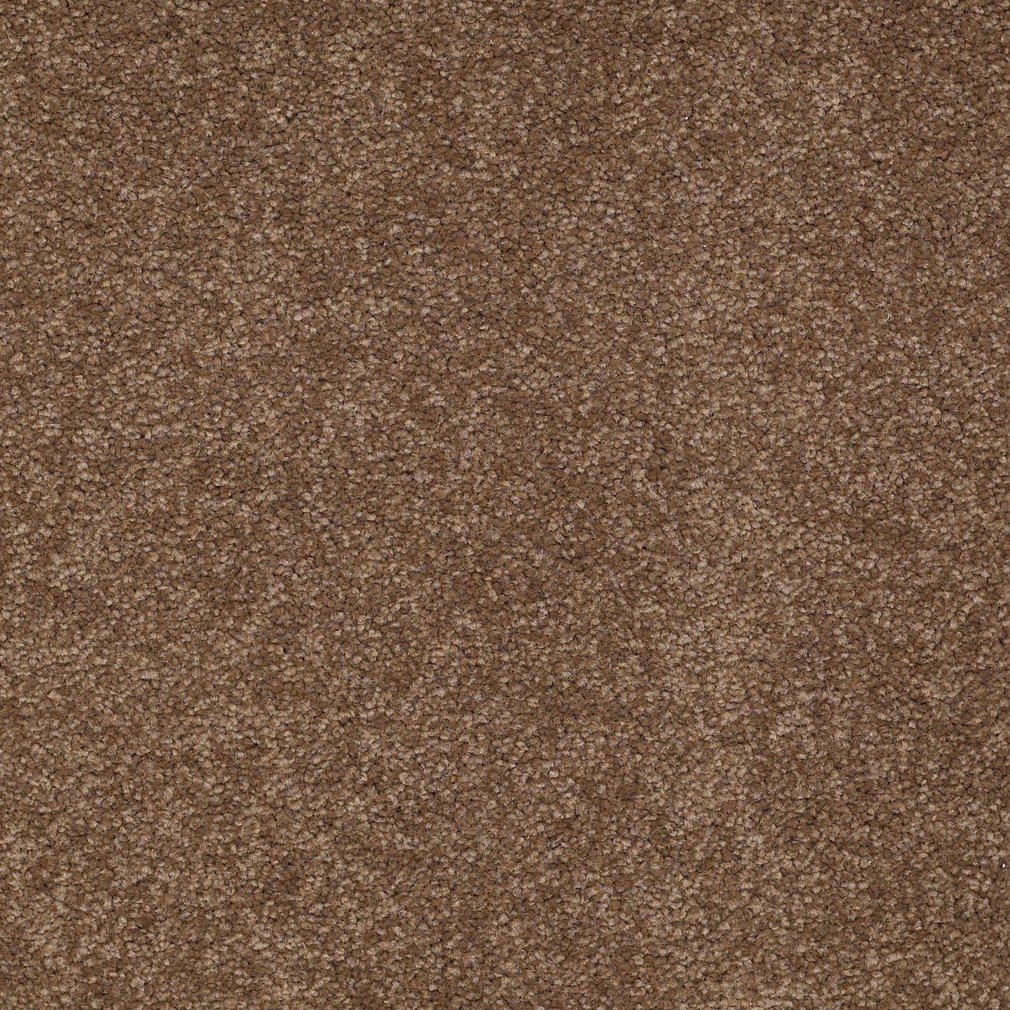 TEXTURE BCF