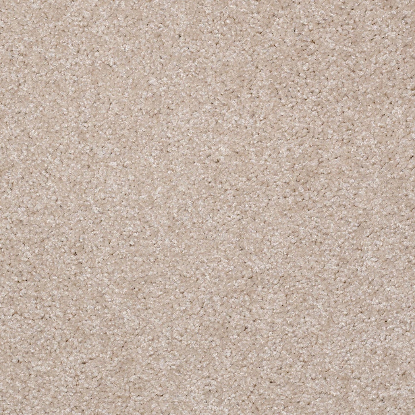 TEXTURE BCF