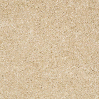 TEXTURE BCF