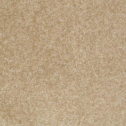 TEXTURE BCF