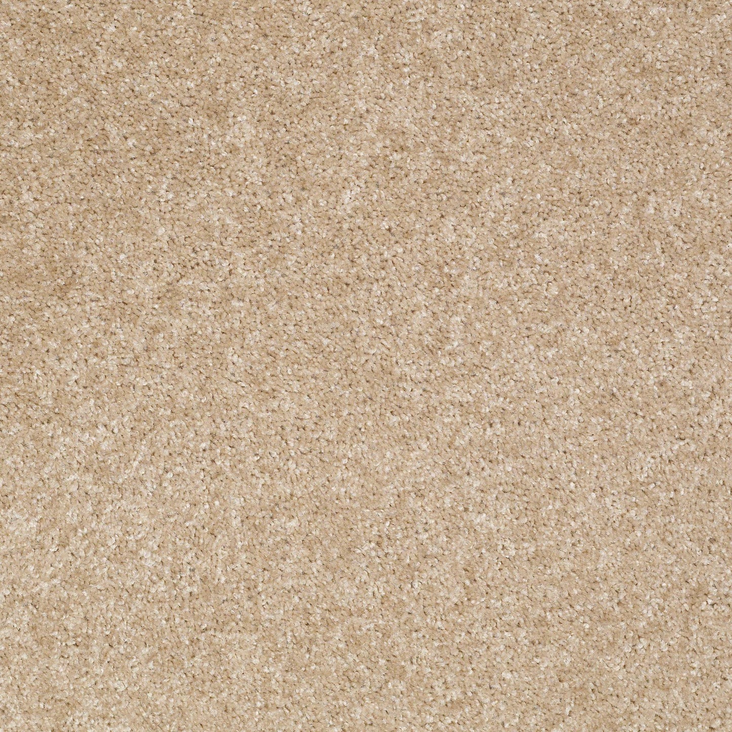 TEXTURE BCF