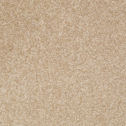 TEXTURE BCF