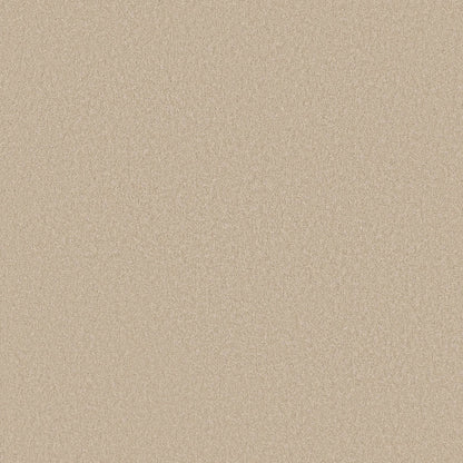 TEXTURE BCF