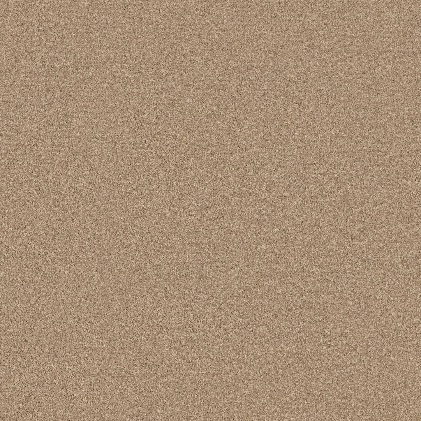 TEXTURE BCF