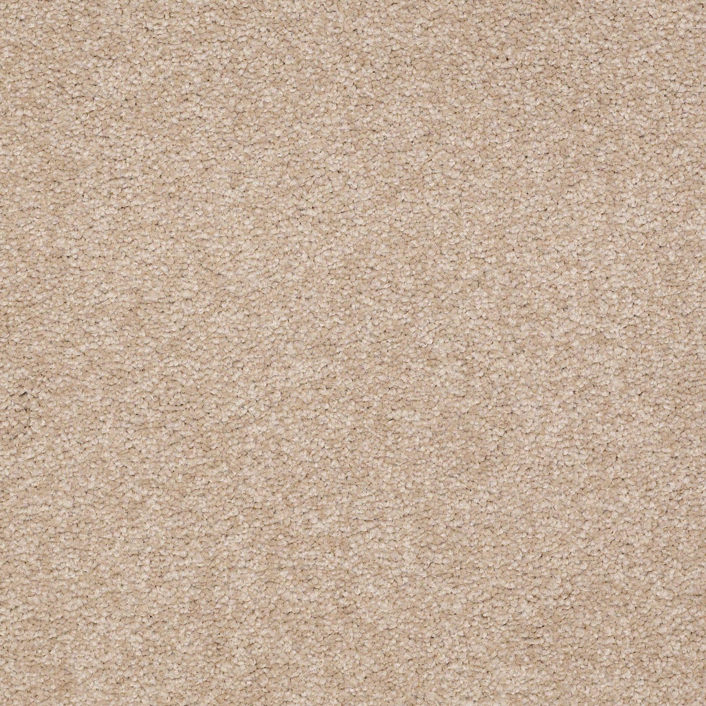 TEXTURE BCF