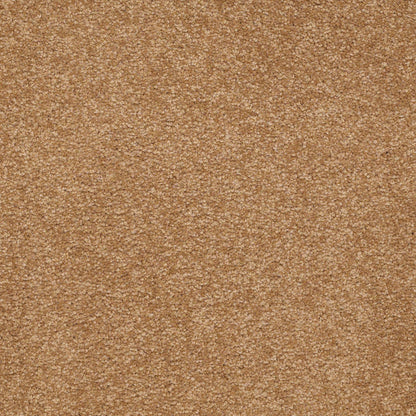 TEXTURE BCF