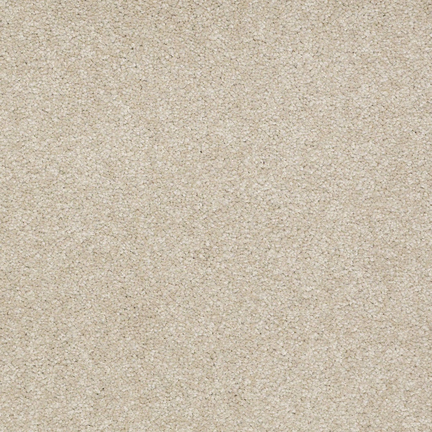 TEXTURE BCF