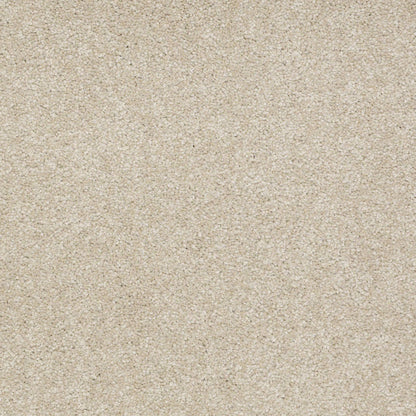 TEXTURE BCF