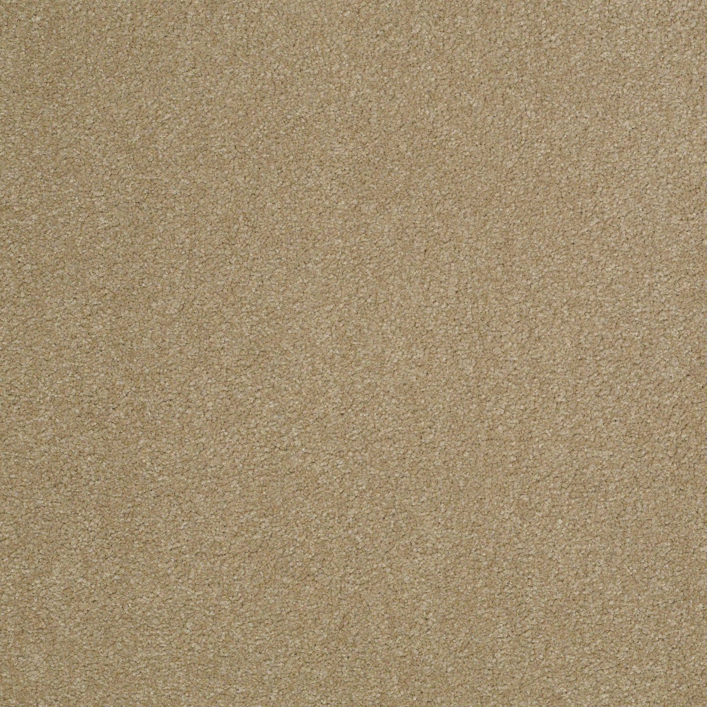 TEXTURE BCF