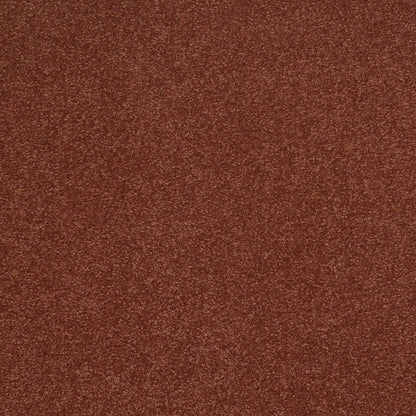 TEXTURE BCF