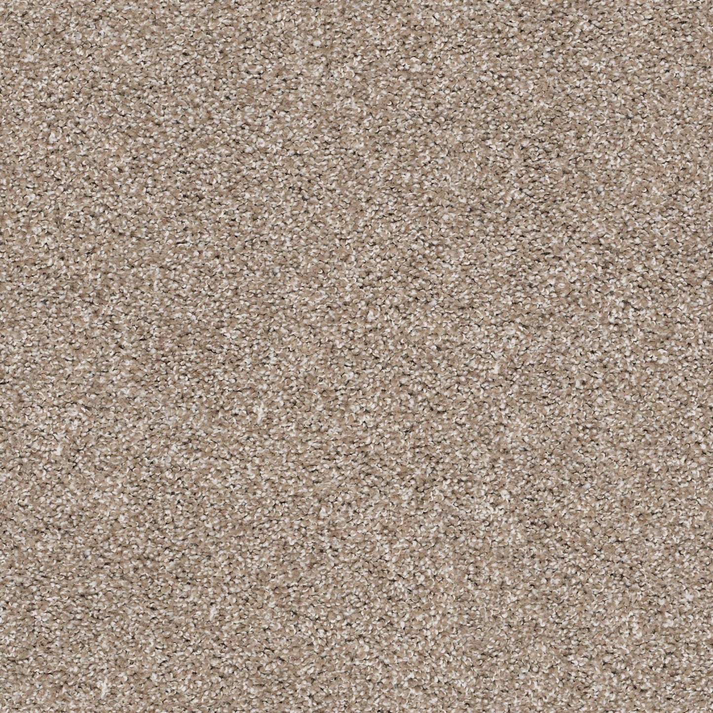TEXTURE BCF