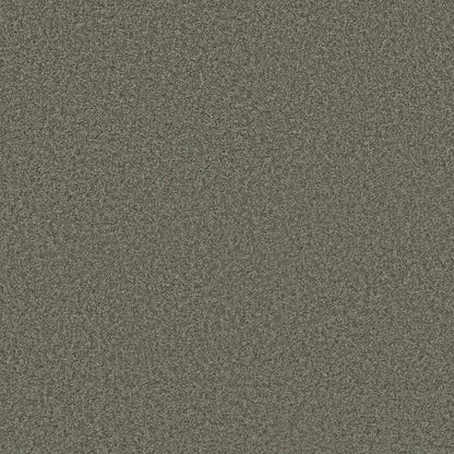 TEXTURE BCF