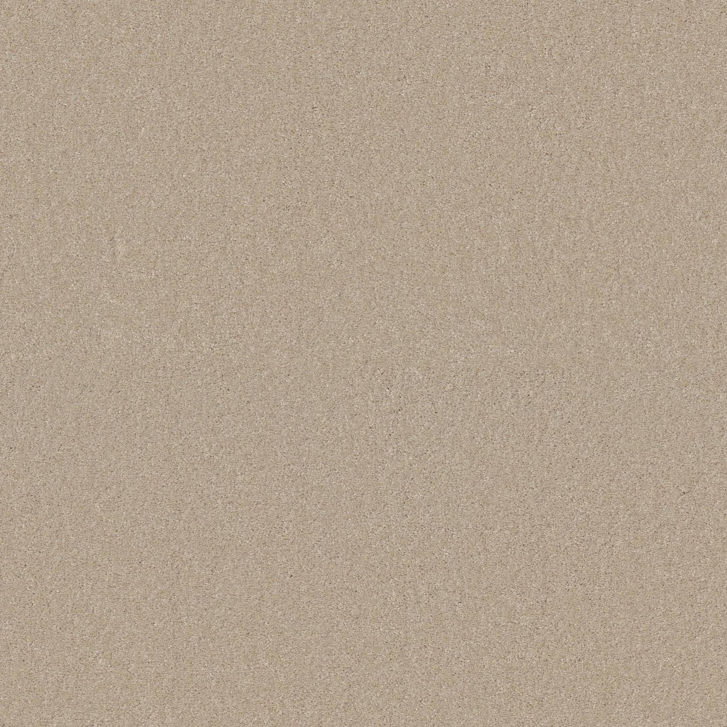 TEXTURE BCF