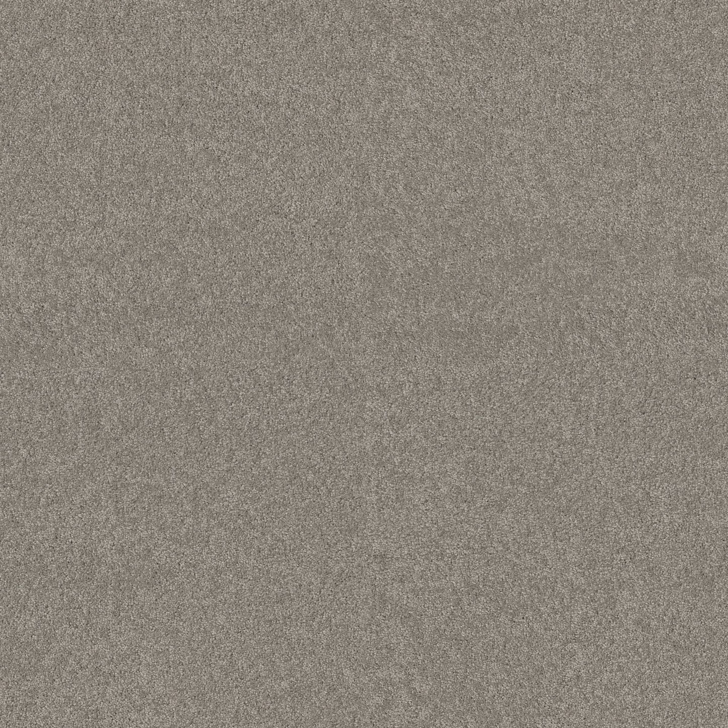 TEXTURE BCF