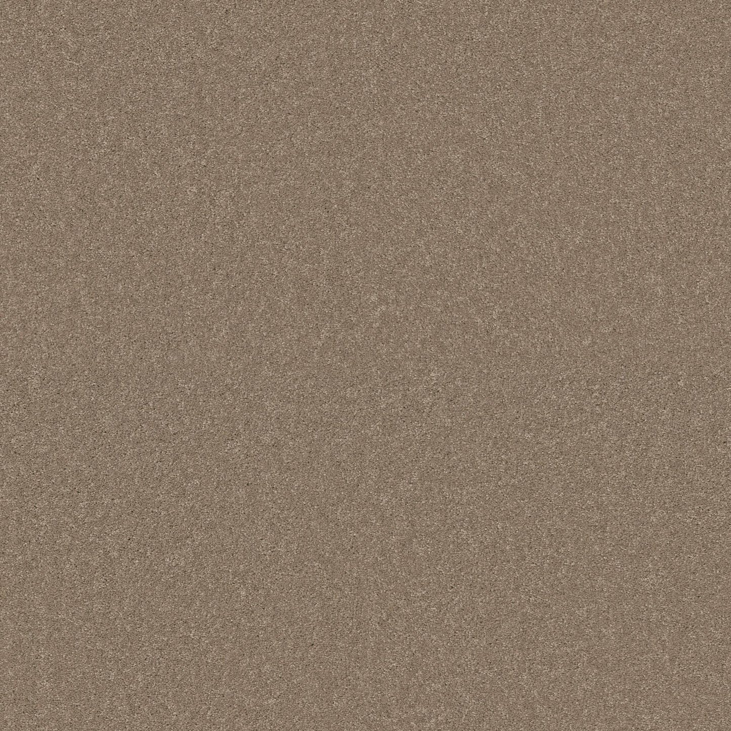 TEXTURE BCF