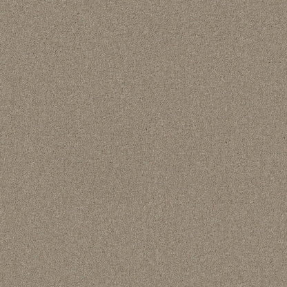 TEXTURE BCF