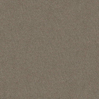 TEXTURE BCF