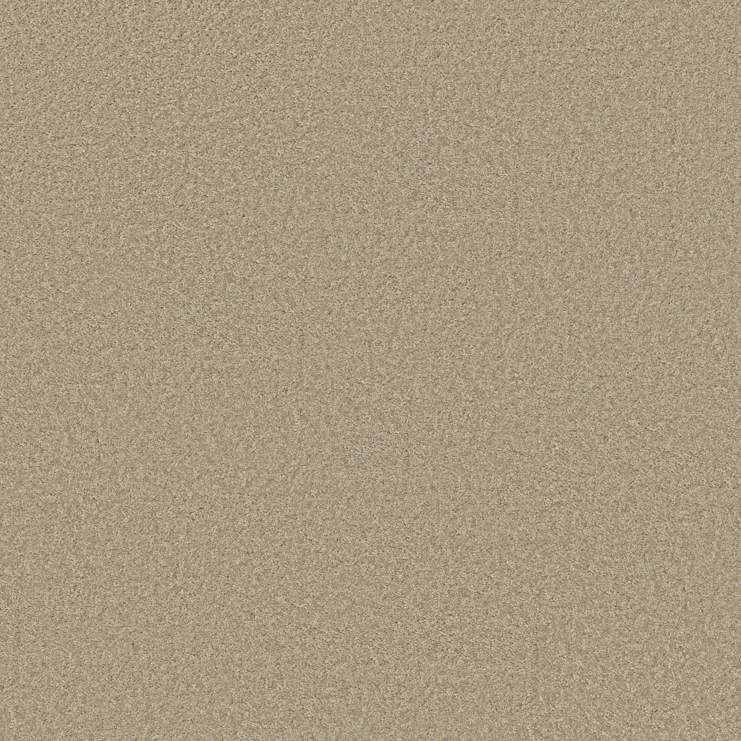 TEXTURE BCF