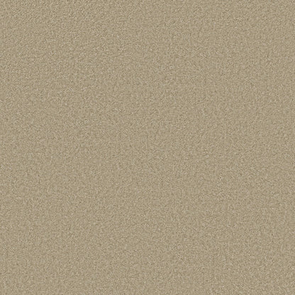 TEXTURE BCF