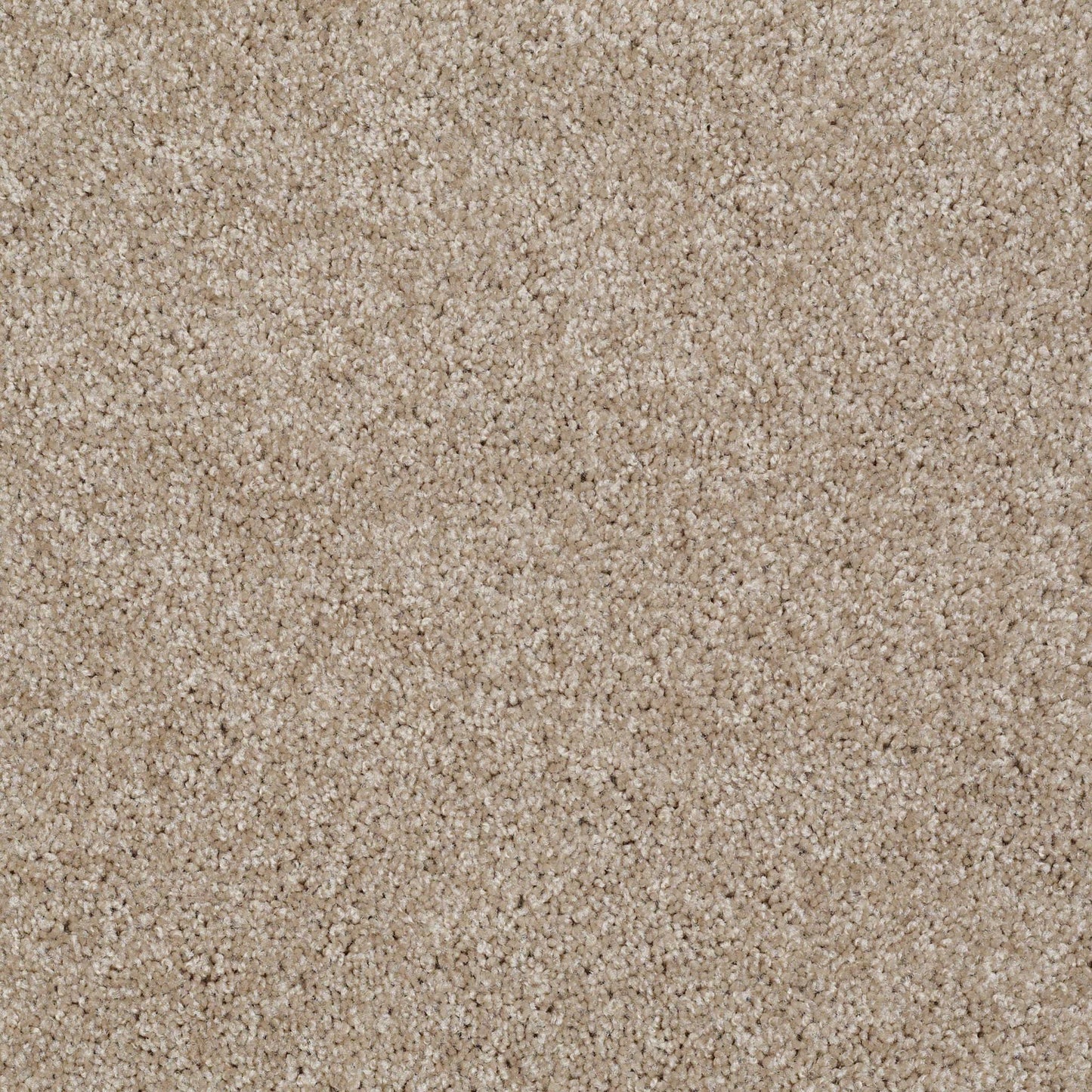 TEXTURE BCF