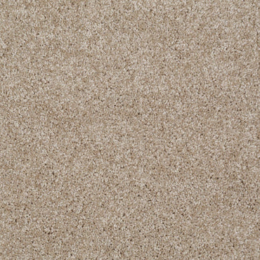 TEXTURE BCF