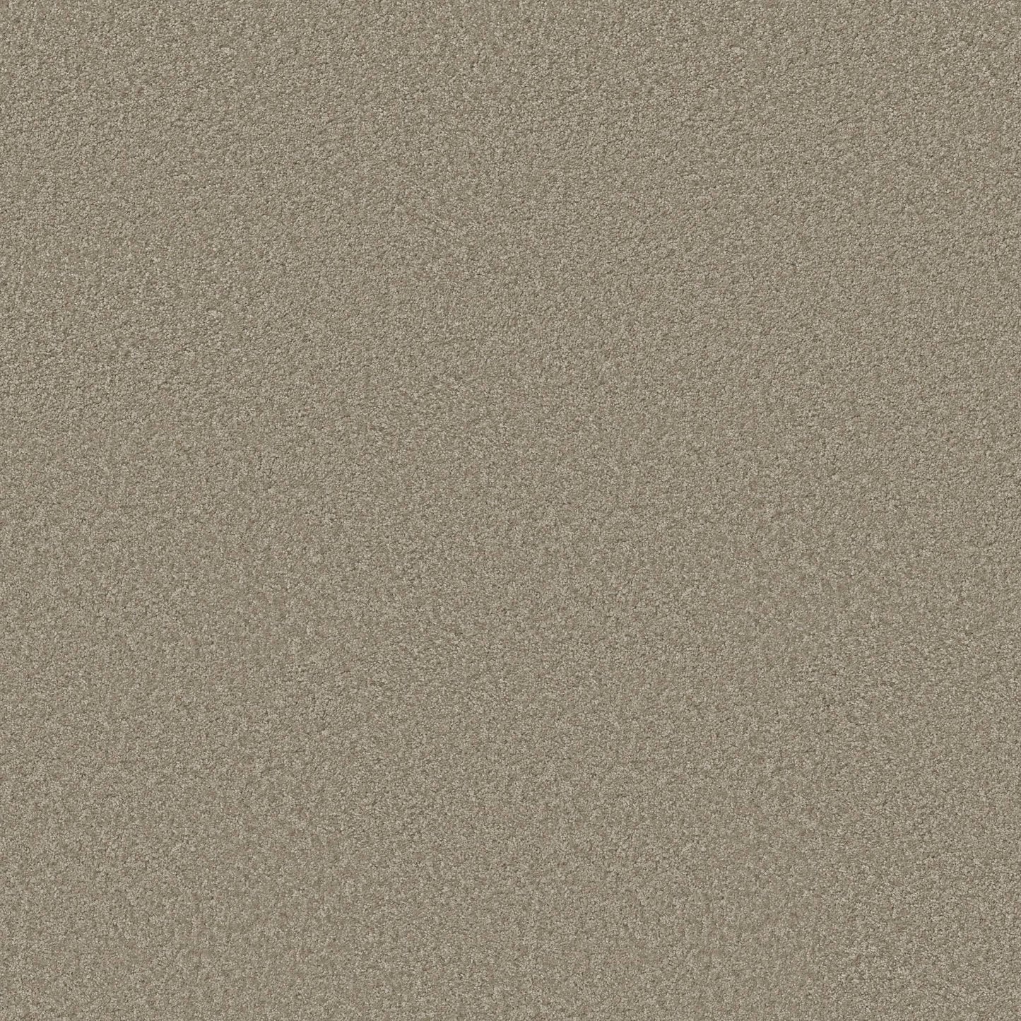 TEXTURE BCF