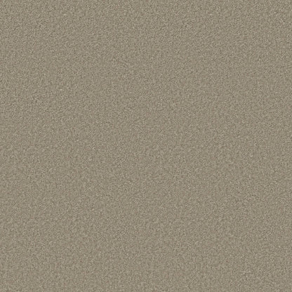 TEXTURE BCF