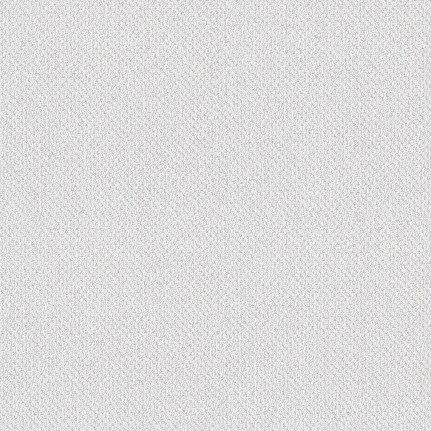 BERBER NYLON LOOP