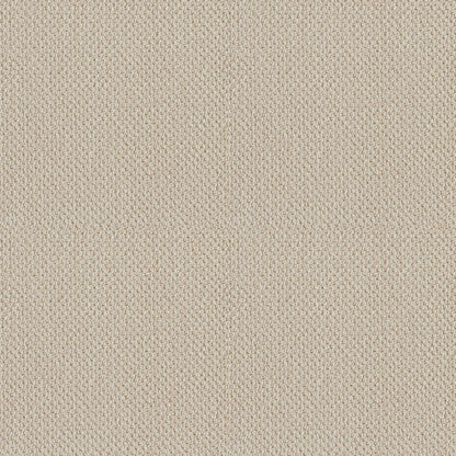 BERBER NYLON LOOP