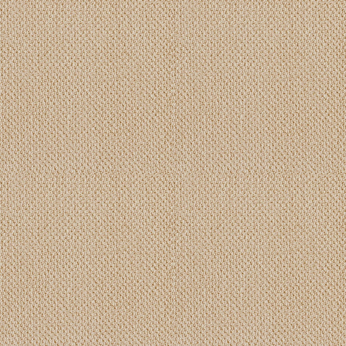 BERBER NYLON LOOP