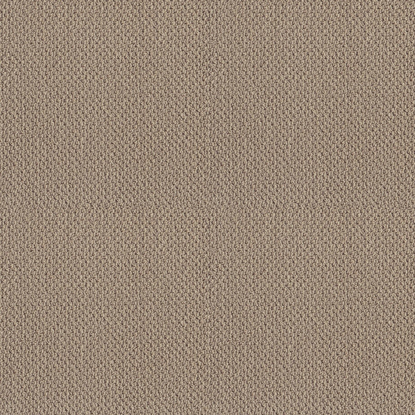BERBER NYLON LOOP
