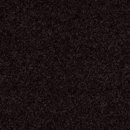 PET BCF