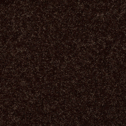 PET BCF