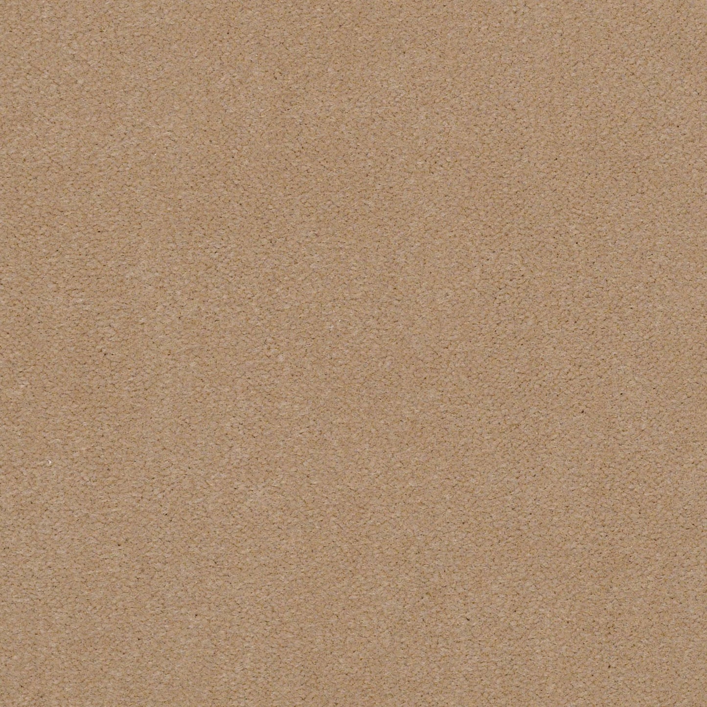CUT PILE SOLID