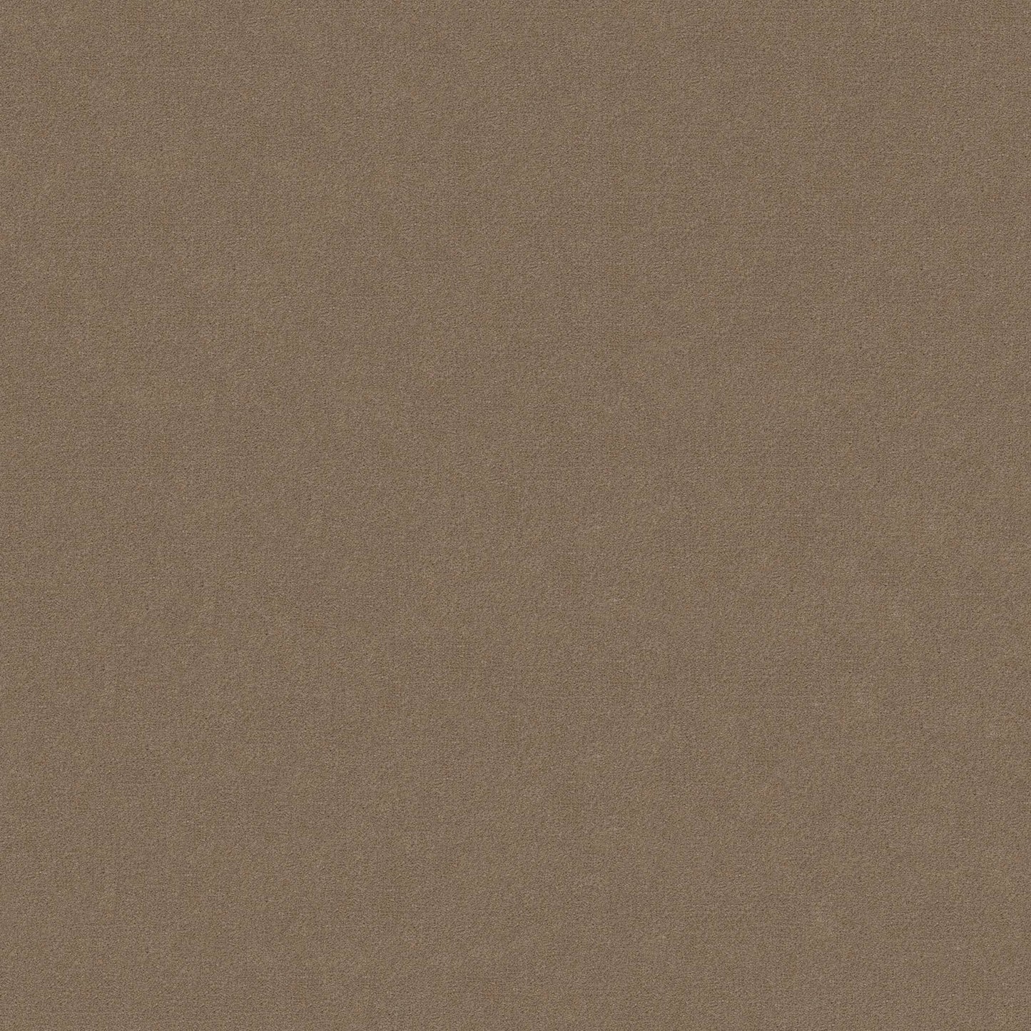 CUT PILE SOLID