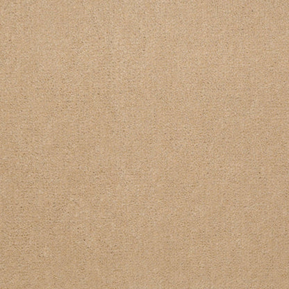CUT PILE SOLID